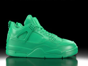 Air Jordan 4 with sole bottom 3D Print Model