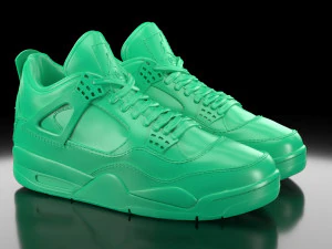 Air Jordan 4 with sole bottom 3D Print Model