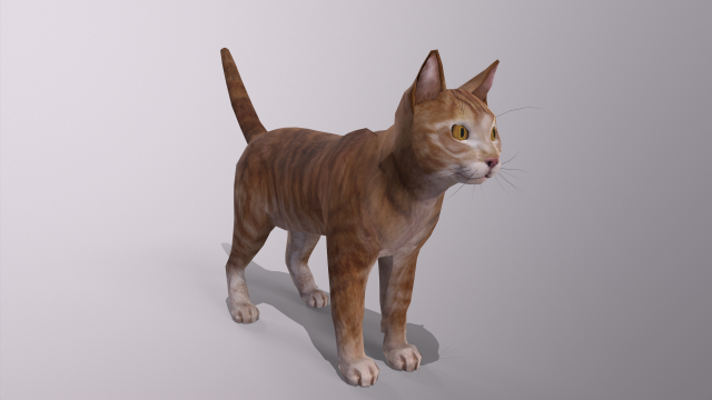orange cat Model 3D .c4d .max .obj .3ds .fbx .stl .blend