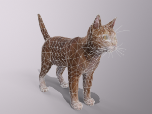 orange cat Model 3D