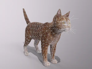 orange cat 3D Model