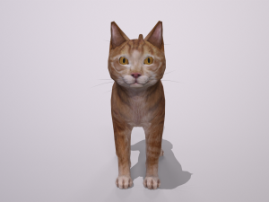 orange cat Model 3D