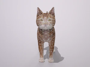 orange cat 3D Model