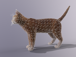 orange cat Model 3D
