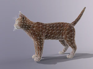 orange cat 3D Model