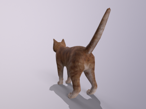 orange cat Model 3D