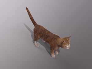 orange cat Model 3D
