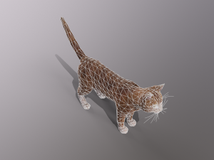 orange cat Model 3D