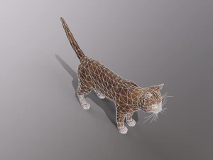 orange cat 3D Model