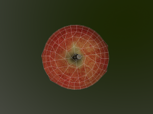 3d apple 3D 모델