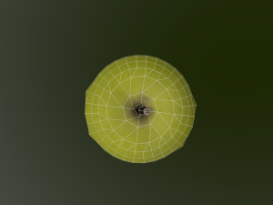 3d apple 3D 모델