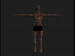zombie orc 3D Model