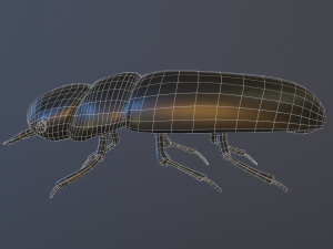 Black bug 3D Модель