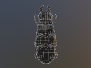 Black bug 3D Модель
