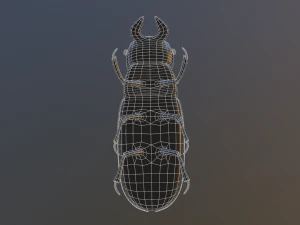 Black bug 3D Model