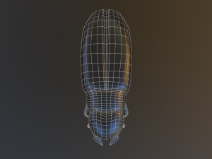 Black bug 3D Модель