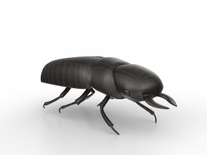 Black bug Modello 3D