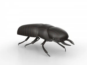 Black bug 3D Model