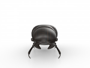 Black bug 3D Модель
