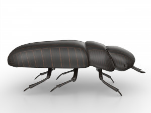 Black bug 3D Модель