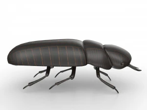 Black bug 3D Model