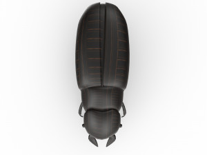 Black bug 3D Модель