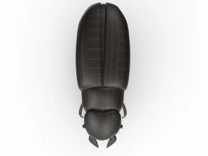 Black bug 3D Model
