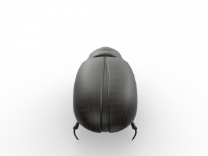 Black bug 3D Модель