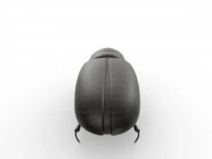 Black bug 3D Model