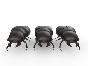 Black bug 3D Модель