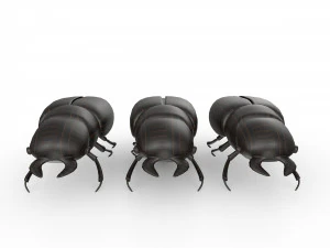 Black bug 3D Model
