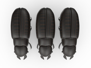 Black bug 3D Модель