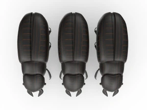 Black bug 3D Model