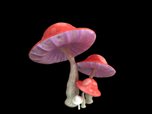 mushrooms Modèle 3D