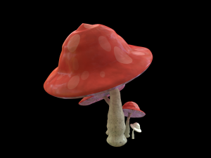 mushrooms Modèle 3D