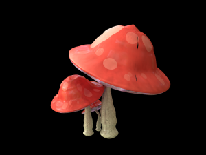 mushrooms Modèle 3D