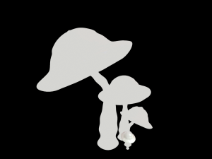 mushrooms Modèle 3D