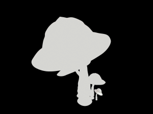 mushrooms Modèle 3D