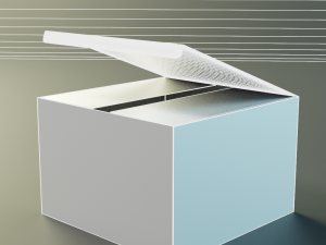 product box rectangular Model 3D