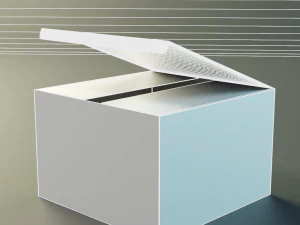 product box rectangular 3D Model