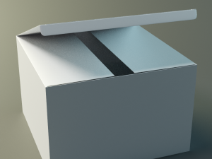 product box rectangular Model 3D