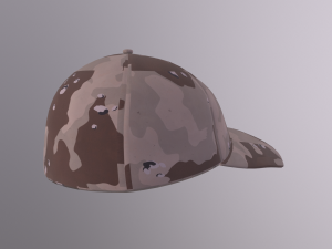 cap - como desert 3D Model