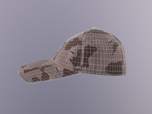 cap - como desert 3D Model