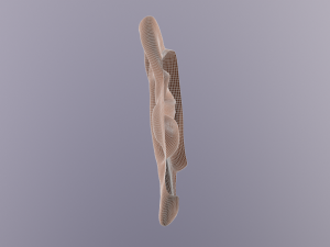 human ear 3D मॉडल