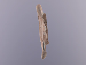 human ear 3D Model