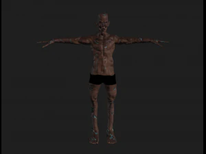 lowpoly character pack 3D Model