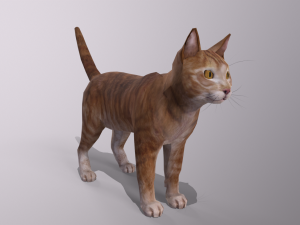 lowpoly character pack Model 3D