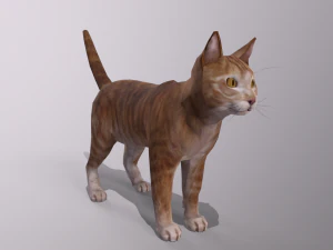 lowpoly character pack 3D Model