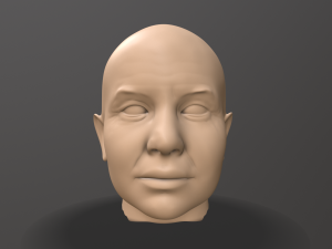 male head sculpt 3D Model