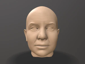 скульптура мужской головы 3D Модель